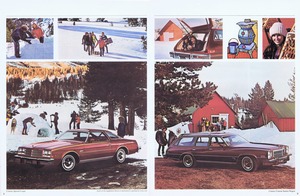 1977 Buick Century-Regal (Cdn)-08-09.jpg